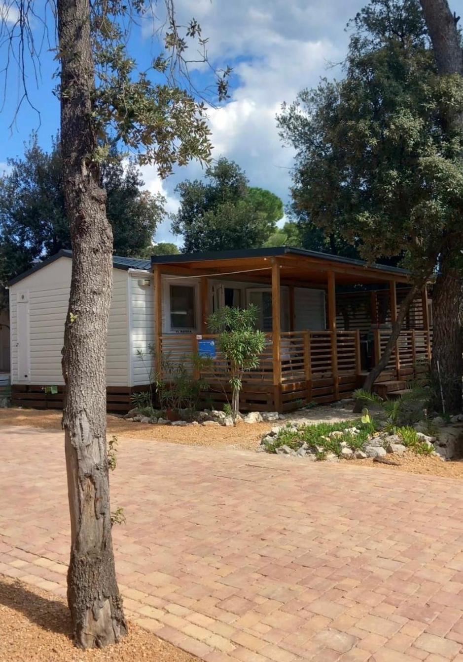 Mobile Homes Crystal Biograd Na Moru Dış mekan fotoğraf